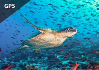Galápagos