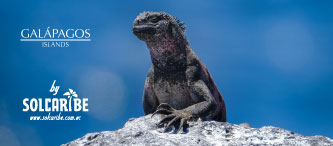 FIN DE AÑO EN GALÁPAGOS