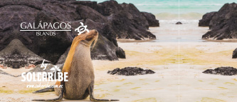 TOURS A TORTUGA BAY GALÁPAGOS DESDE GUAYAQUIL Y QUITO