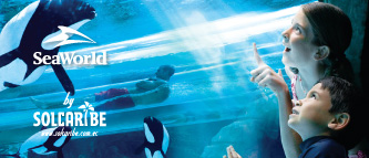 PAQUETES TURÍSTICOS A ORLANDO CON SEAWORLD Y AQUÁTICA