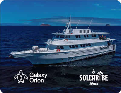 Yate M/Y Galaxy Orion