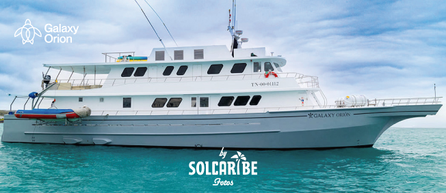 CATAMARAN M/Y GALAXY ORION 01