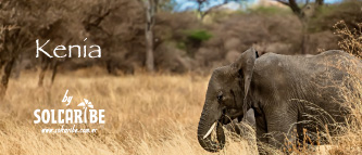 TOURS A KENIA DESDE ECUADOR