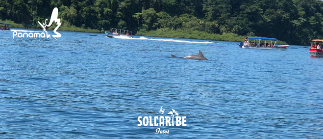 PANAMA BOCAS DEL TORO