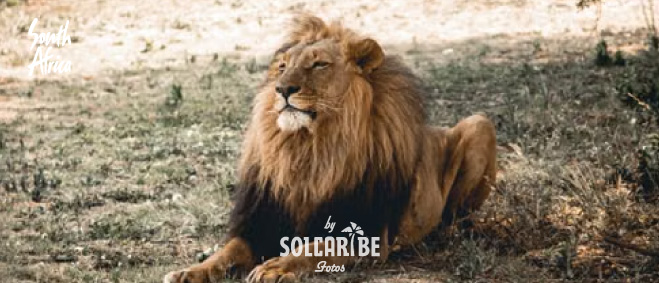 SUDÁFRICA