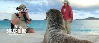 TOURS A GALÁPAGOS CON PLAYA TORTUGA BAY