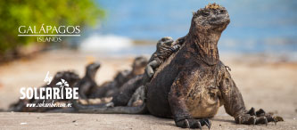 PROMOCIONES A GALÁPAGOS CON ESTACIÓN CHARLES DARWIN