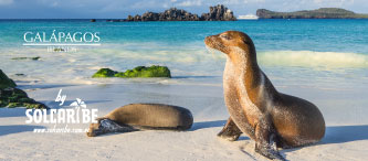 TOURS DE NAVIDAD A GALÁPAGOS