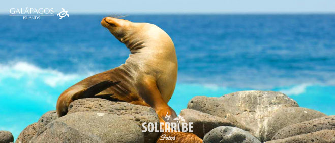ISLAS GALAPAGOS