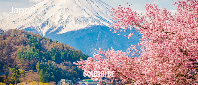 japon central_quito1