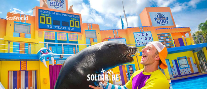 SEAWORLD